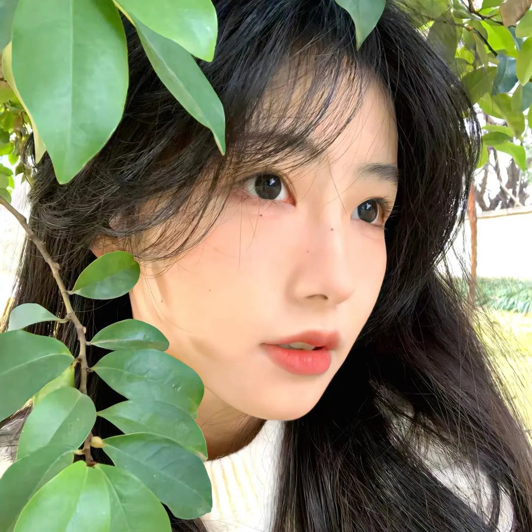 和歌子酒第二季